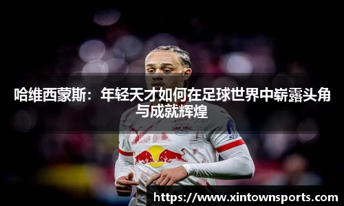 yy易游