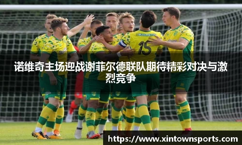 米乐yy体育